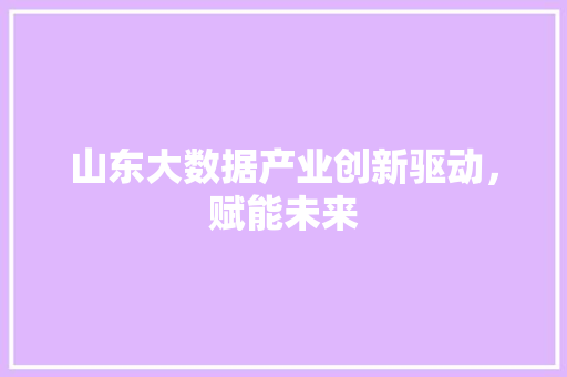 山东大数据产业创新驱动,赋能未来 电脑基础 山东大数据产业创新驱动,赋能未来 电脑基础