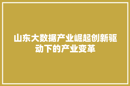 山东大数据产业崛起创新驱动下的产业变革 电脑故障维修