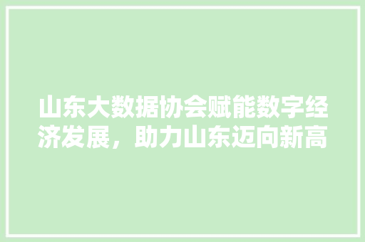 山东大数据协会赋能数字经济发展，助力山东迈向新高峰