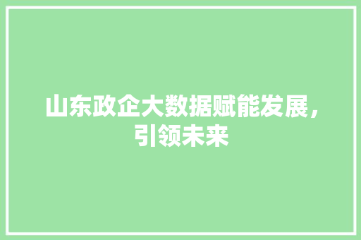 山东政企大数据赋能发展，引领未来 电脑基础