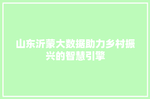 山东沂蒙大数据助力乡村振兴的智慧引擎