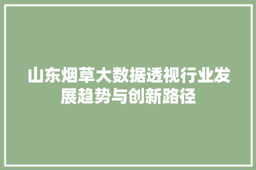 山东烟草大数据透视行业发展趋势与创新路径