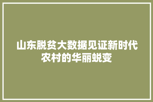山东脱贫大数据见证新时代农村的华丽蜕变