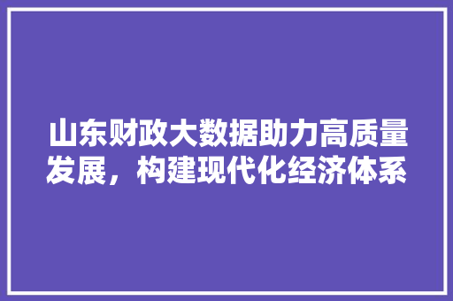 山东财政大数据助力高质量发展，构建现代化经济体系