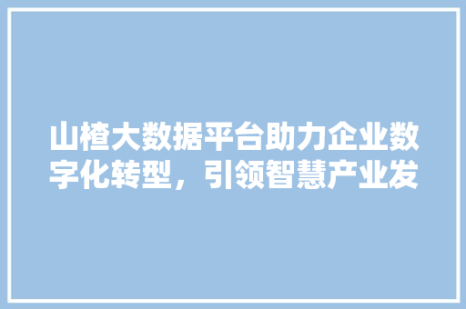 山楂大数据平台助力企业数字化转型，引领智慧产业发展新潮流