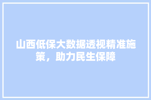 山西低保大数据透视精准施策，助力民生保障