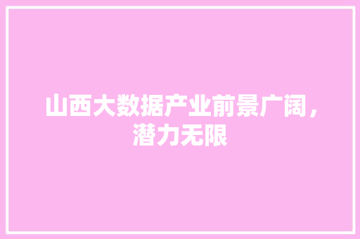 山西大数据产业前景广阔，潜力无限