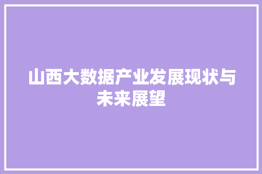 山西大数据产业发展现状与未来展望