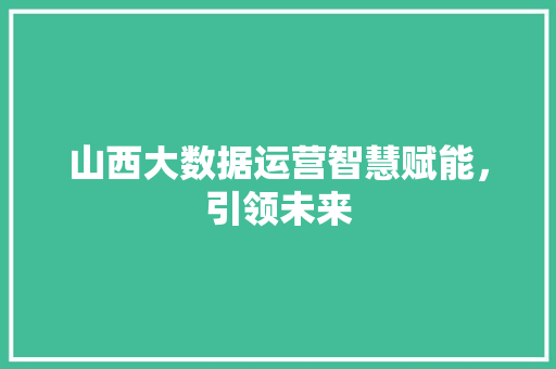 山西大数据运营智慧赋能，引领未来