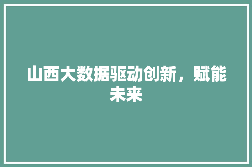 山西大数据驱动创新，赋能未来