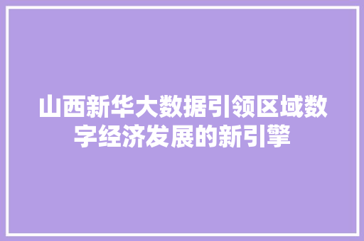 山西新华大数据引领区域数字经济发展的新引擎