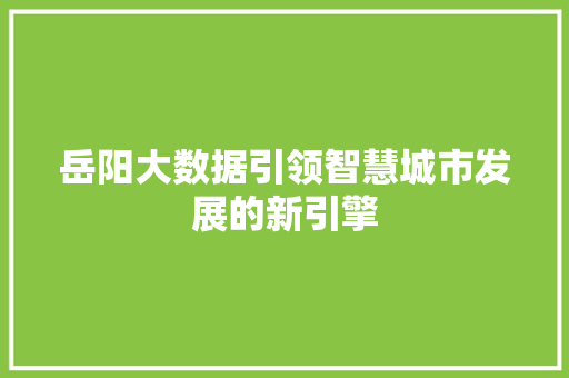 岳阳大数据引领智慧城市发展的新引擎