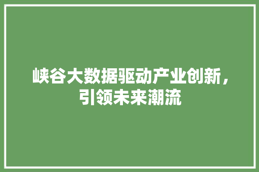 峡谷大数据驱动产业创新，引领未来潮流