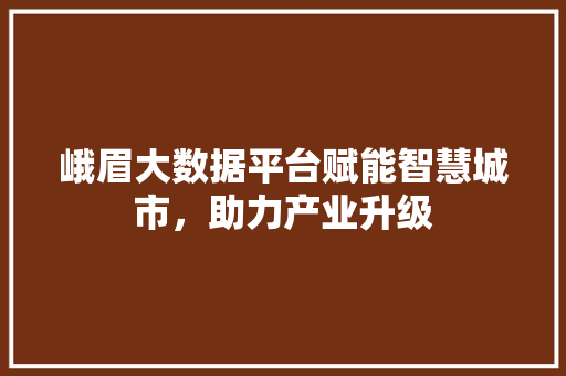 峨眉大数据平台赋能智慧城市，助力产业升级
