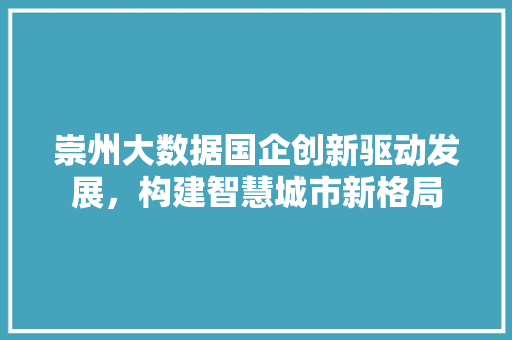 崇州大数据国企创新驱动发展，构建智慧城市新格局 电脑故障维修