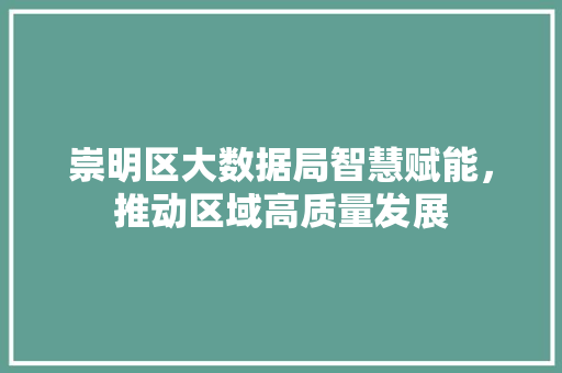 崇明区大数据局智慧赋能，推动区域高质量发展