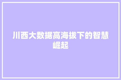 川西大数据高海拔下的智慧崛起