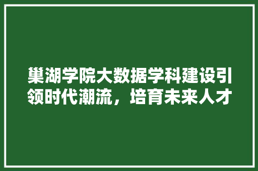 巢湖学院大数据学科建设引领时代潮流，培育未来人才 电脑故障维修