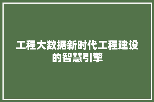 工程大数据新时代工程建设的智慧引擎