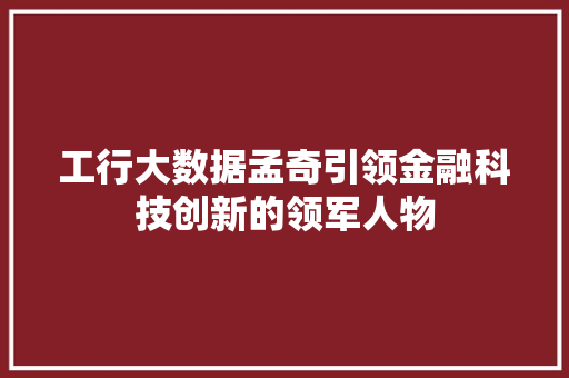 工行大数据孟奇引领金融科技创新的领军人物