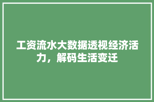 工资流水大数据透视经济活力，解码生活变迁