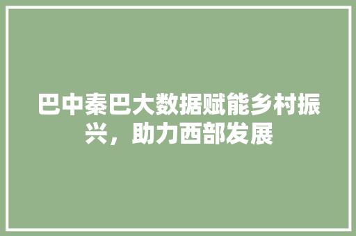巴中秦巴大数据赋能乡村振兴，助力西部发展