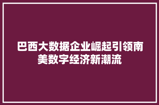 巴西大数据企业崛起引领南美数字经济新潮流