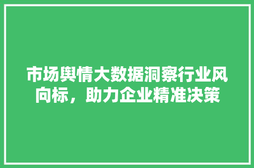市场舆情大数据洞察行业风向标，助力企业精准决策