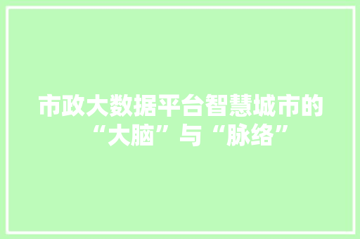 市政大数据平台智慧城市的“大脑”与“脉络”