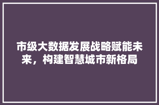 市级大数据发展战略赋能未来,构建智慧城市新格局 电脑配置 市级大数据发展战略赋能未来,构建智慧城市新格局 电脑配置