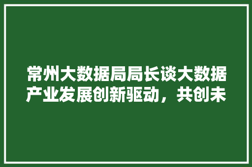 常州大数据局局长谈大数据产业发展创新驱动，共创未来 编程语言