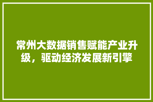常州大数据销售赋能产业升级，驱动经济发展新引擎
