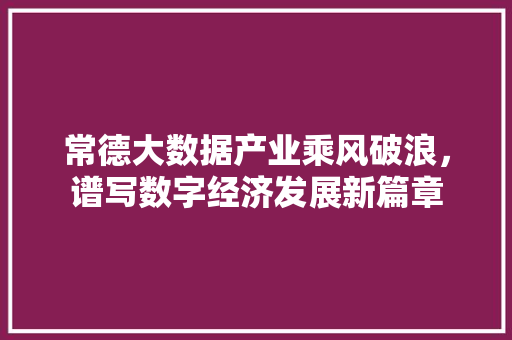 常德大数据产业乘风破浪，谱写数字经济发展新篇章