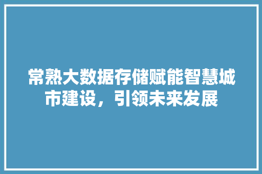 常熟大数据存储赋能智慧城市建设，引领未来发展 网络技术