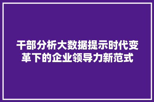 干部分析大数据提示时代变革下的企业领导力新范式