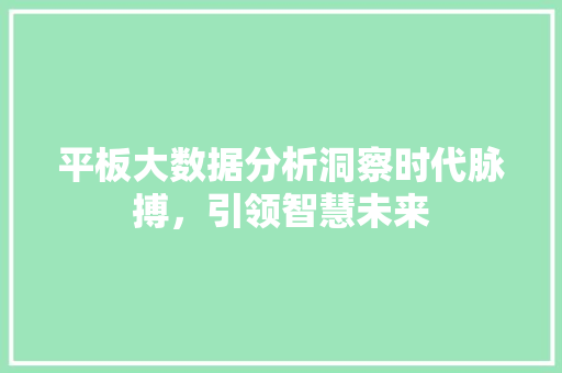 平板大数据分析洞察时代脉搏，引领智慧未来