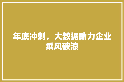 年底冲刺，大数据助力企业乘风破浪