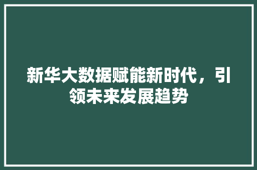 新华大数据赋能新时代，引领未来发展趋势