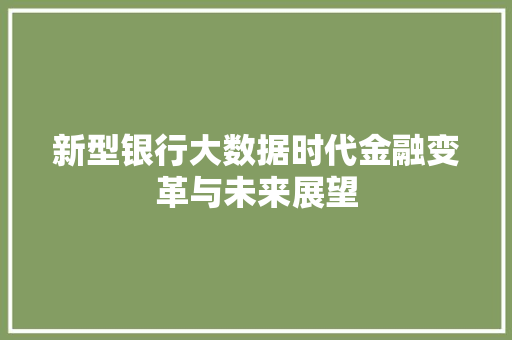 新型银行大数据时代金融变革与未来展望