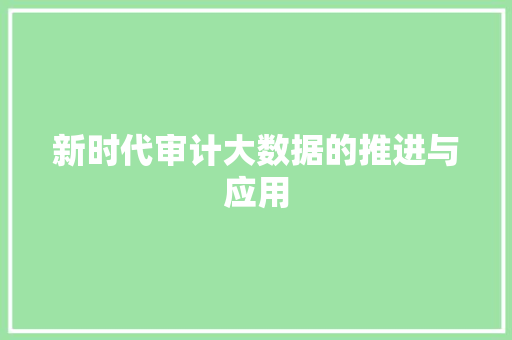 新时代审计大数据的推进与应用