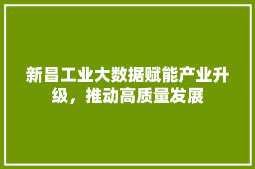 新昌工业大数据赋能产业升级，推动高质量发展