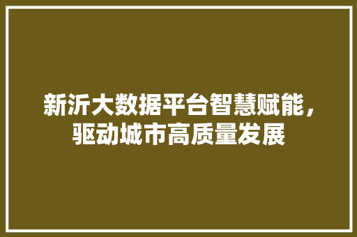新沂大数据平台智慧赋能，驱动城市高质量发展