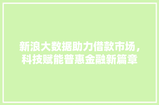新浪大数据助力借款市场，科技赋能普惠金融新篇章