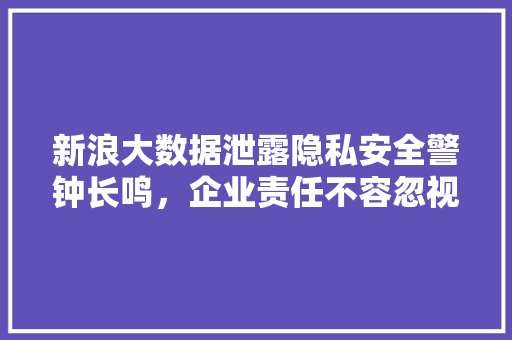 新浪大数据泄露隐私安全警钟长鸣，企业责任不容忽视