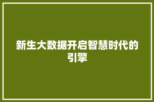新生大数据开启智慧时代的引擎 新生大数据开启智慧时代的引擎