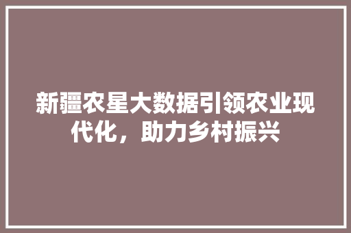 新疆农星大数据引领农业现代化，助力乡村振兴