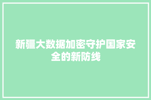 新疆大数据加密守护国家安全的新防线