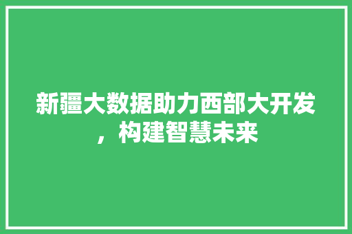 新疆大数据助力西部大开发，构建智慧未来