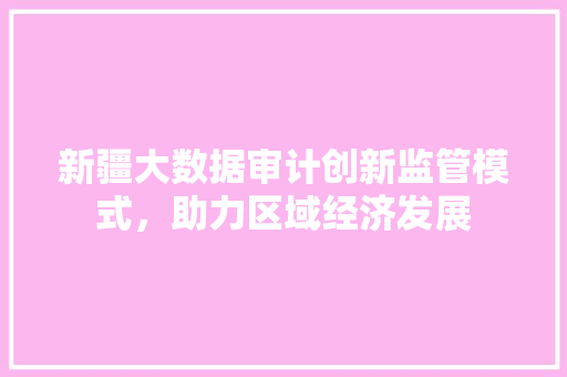 新疆大数据审计创新监管模式，助力区域经济发展