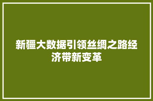 新疆大数据引领丝绸之路经济带新变革